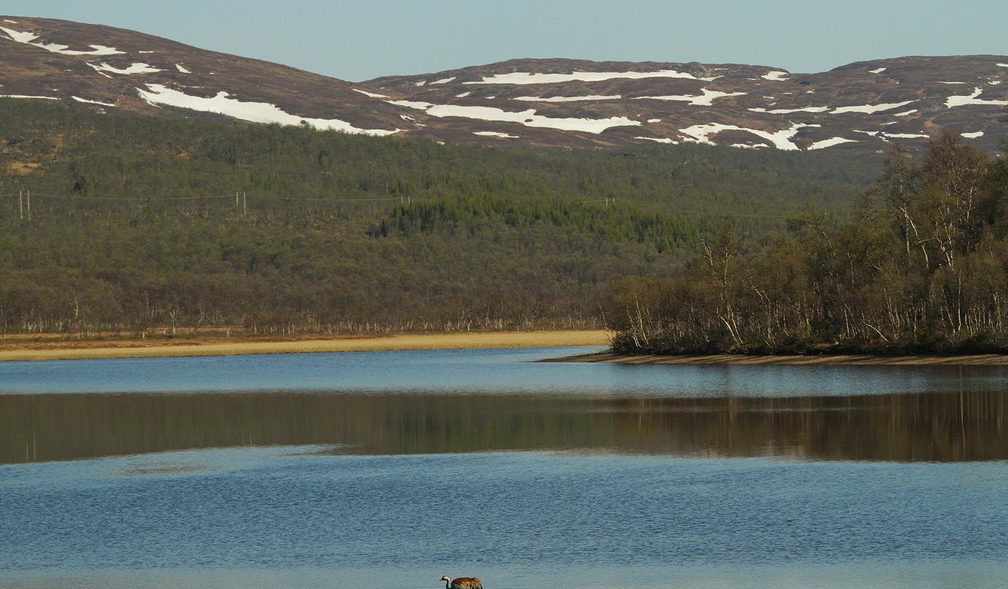 Molinga nature reserve