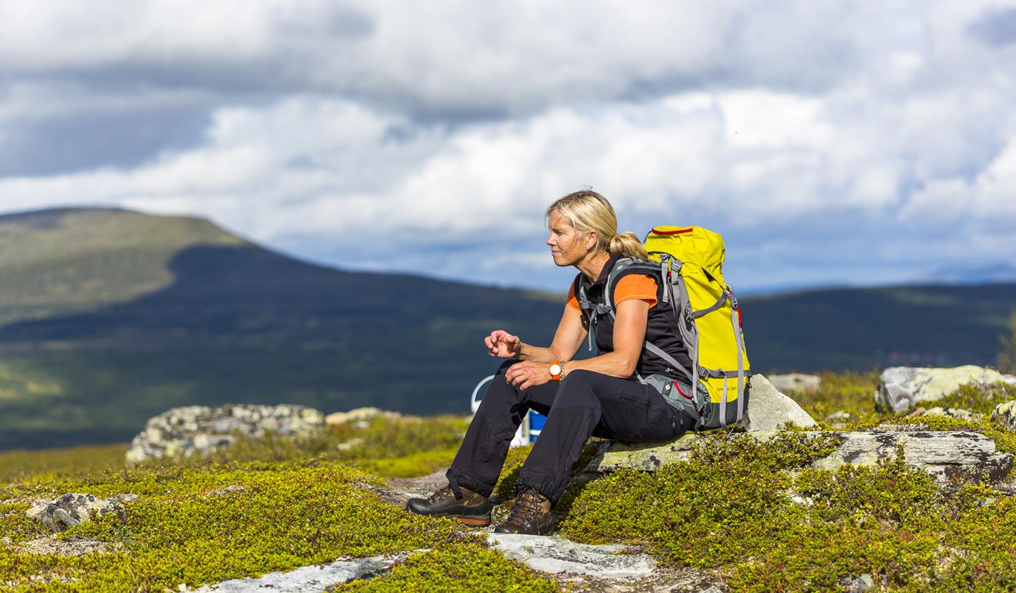 Fjällkraft