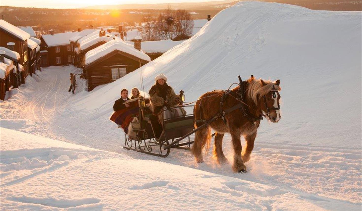Horse and sleigh ride in Røros