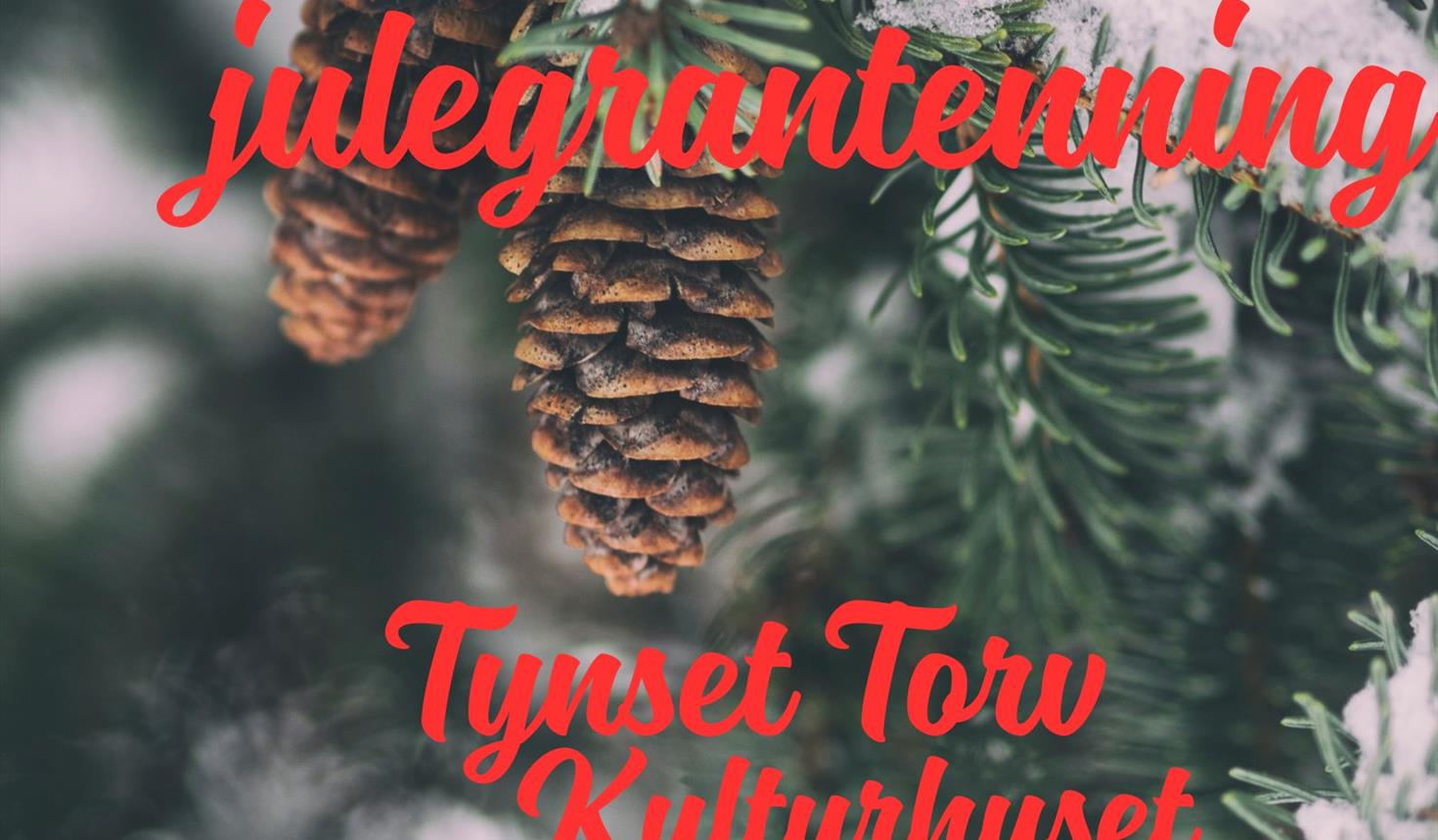 Julemarked og julegrantenning på Tynset torv