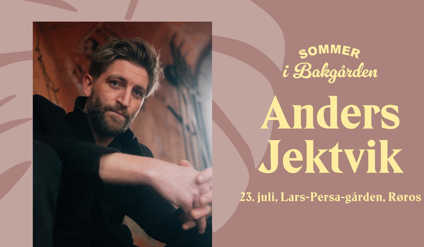 Anders Jektvik – Sommer i bakgården