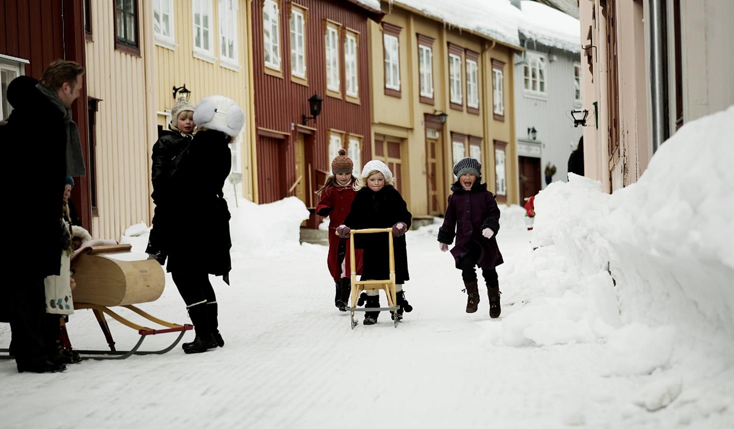 Kick-sled rental