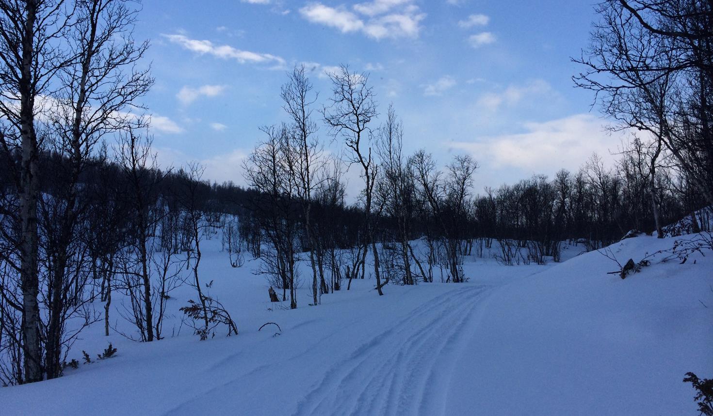 Cross-country trails in Røros