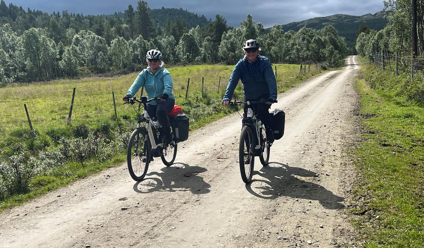 Elgtråkket – experience Østerdalen by bike
