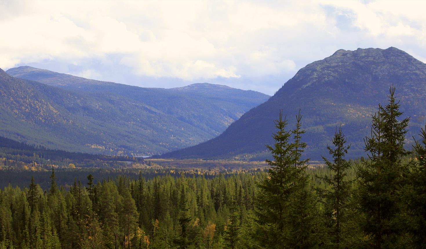 Gammeldalen nature reserve