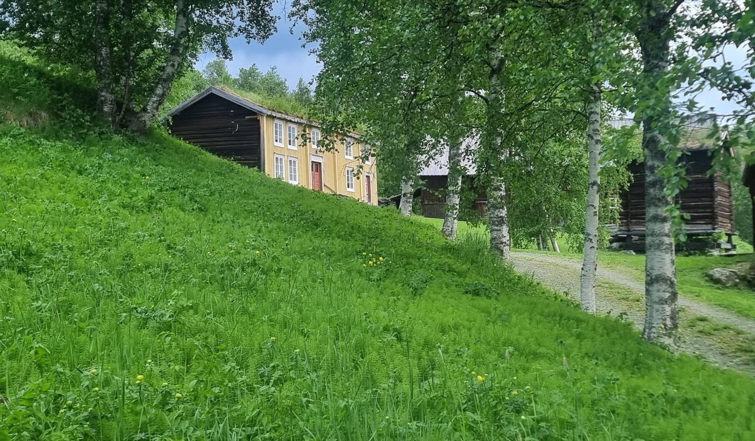 «Fra Trønderplast til Protex» - Torsdagskveld i Ålen bygdemuseum
