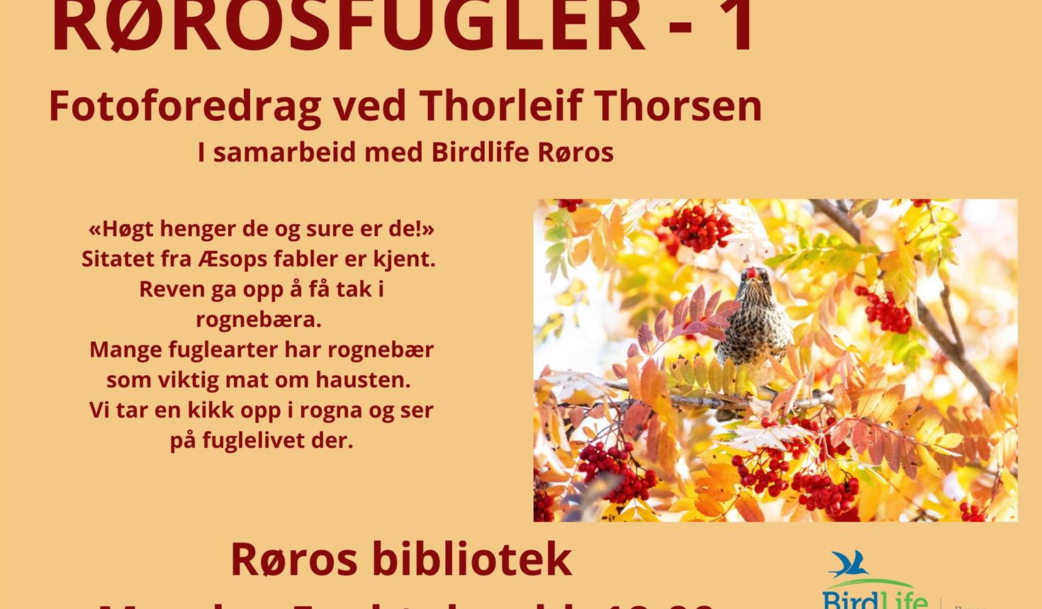 Rørosfugler 1 - Fotoforedrag ved Thorleif Thorsen
