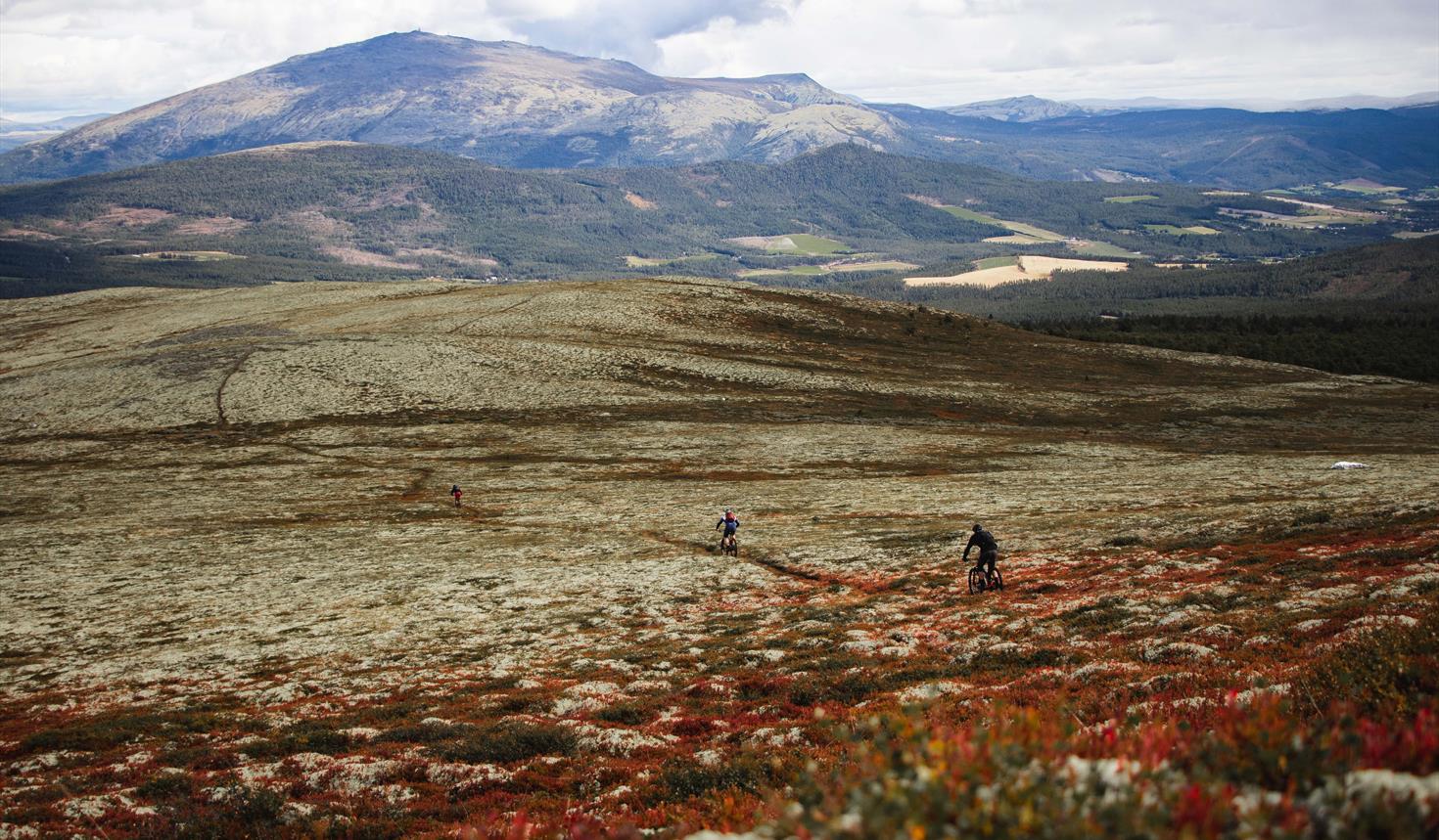 Fra seter til spa i Alvdal