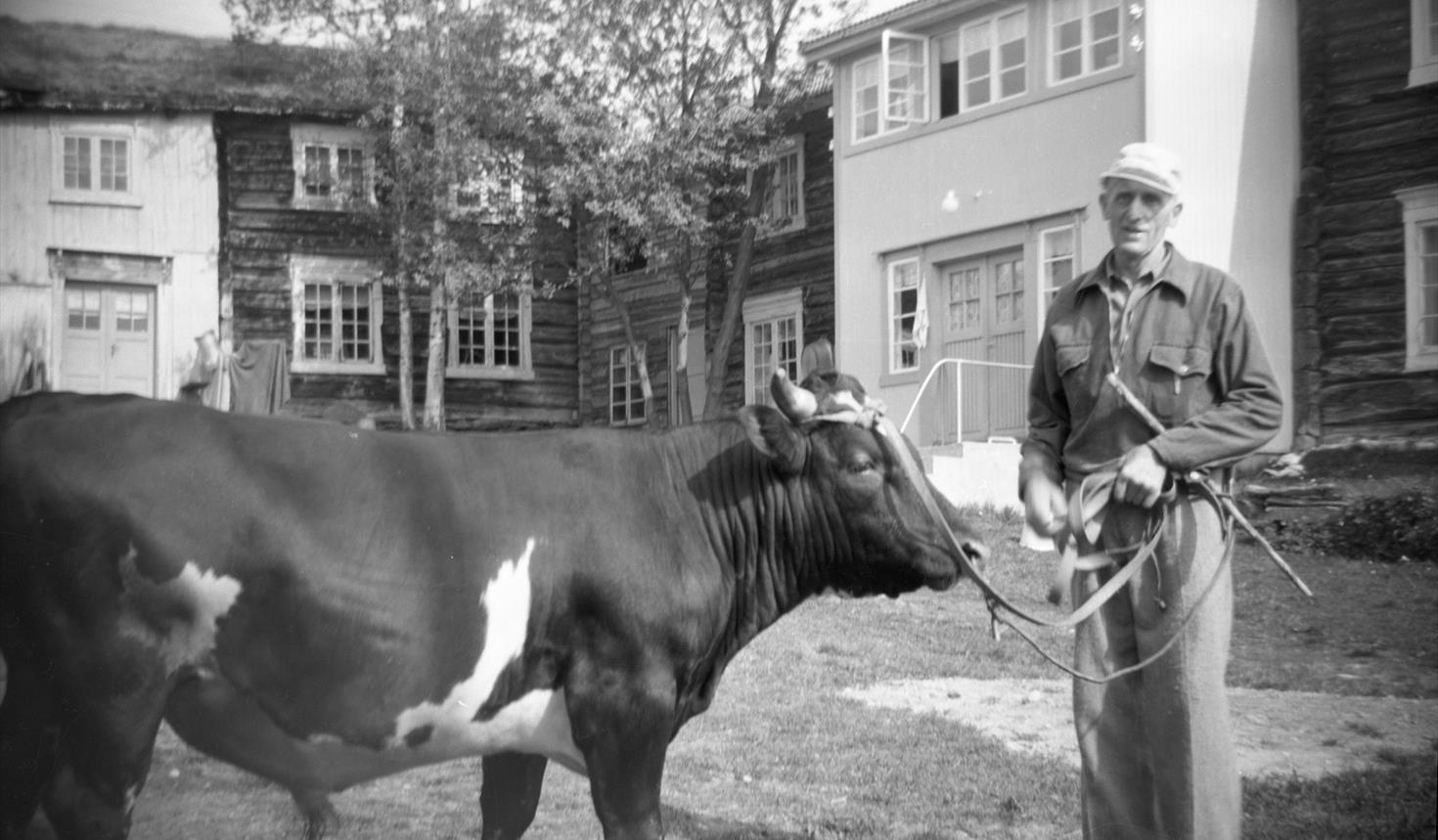 Hvordan var en bondefamilies hverdag,  - «i glede  og sorg», for 80 år siden?