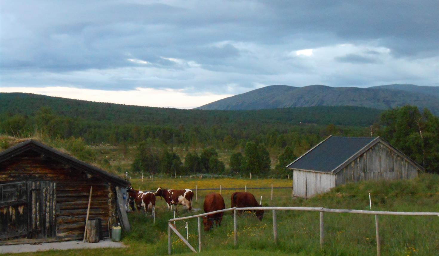 Åpen Seter, Dølvollen i Tolga