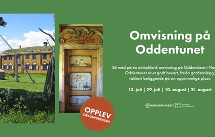 Summer Walks at Oddentunet