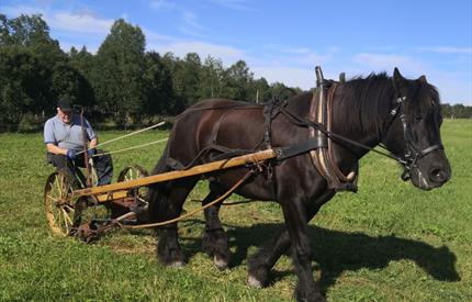 Vinnjdag på Storelvavollen