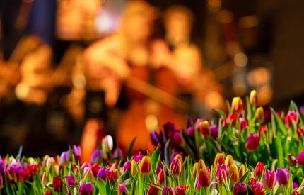 Åpningskonsert Vinterfestspill i Bergstaden