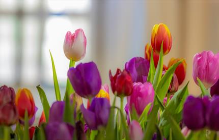 Den femte årstid i Røros kirke - Vinterfestspill i Bergstaden