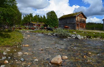 Ljøsnåvollen Seter - Hytter