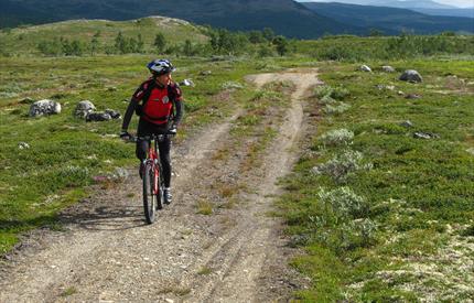 Cycling in the World Heritage site of Røros