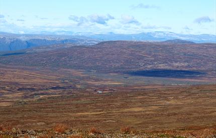 Grønntjønnan nature reserve