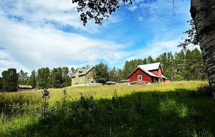 Haugen Gård