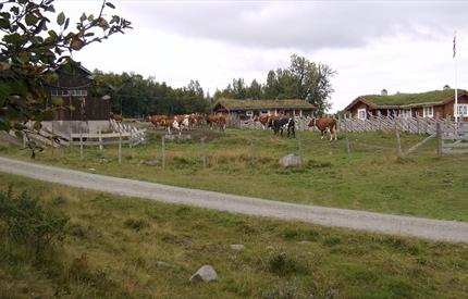 Åpen Seter, Ustuvollen i Dalsbygda