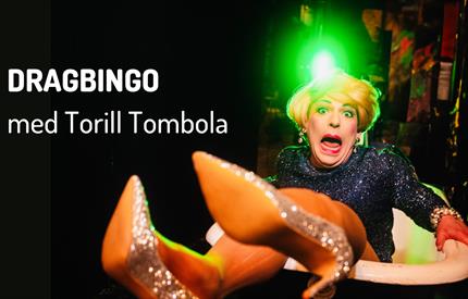 Dragbingo m/Torill Tombola