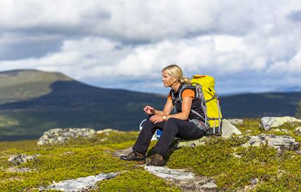 Fjällkraft