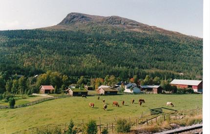 Langodden Gård