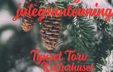 Julemarked og julegrantenning på Tynset torv