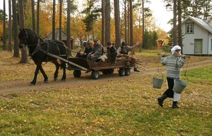 Tynset Open Air Museum