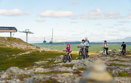 Fjällcykelveckan i Tänndalen