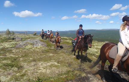 Riding - Savalen Hestesenter