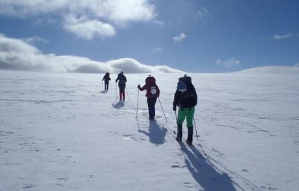 Fjellskivandring i Forollhogna - i villreinens spor
