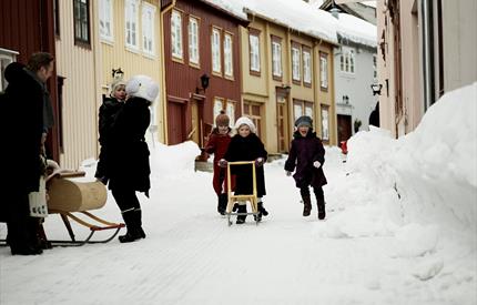 Kick-sled rental