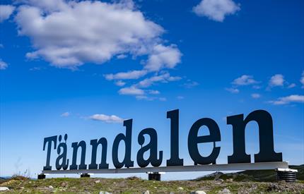 Musikkväll på Kalfjäll