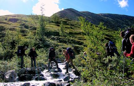 Wildniswandern - Weitwandern in Nord-Østerdalen