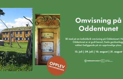 Omvisning på Oddentunet