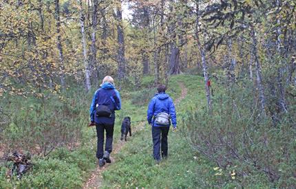 Tjønnhauan nature and culture trail