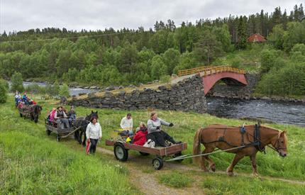 Alte Brücke in Tolga