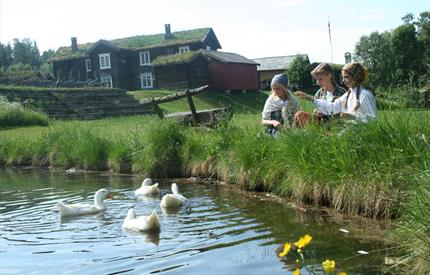 Dølmotunet