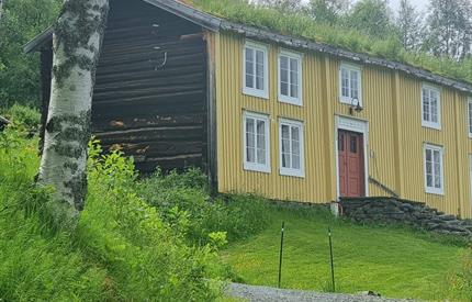 «Fandens instrument» med Bo Ivan Folde