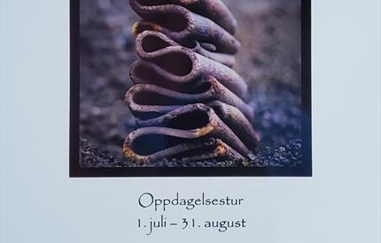 Kunstvandring i fjellheimen