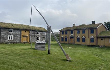 Omvisning på Oddentunet