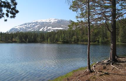 Ripan nature reserve