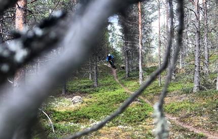 Guiding til de beste stisykkelopplevelsene på Røros-STI