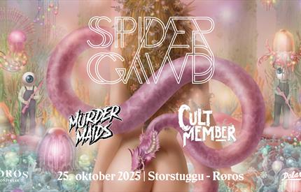 Spidergawd + Murder Maids + Cult Member