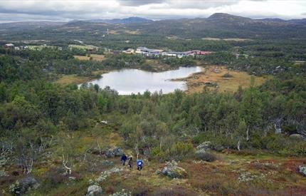 Guidet fjelltur i Vauldalen