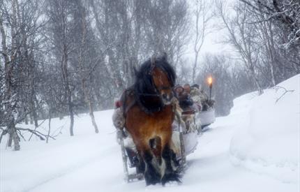 Julebord i Volldalskoja