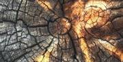 "Inferno "foto på børstet aluminium