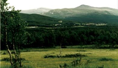 Sølendet Naturreservat-orkideenes paradis