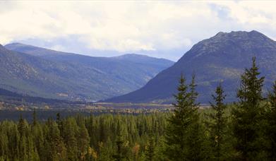 Gammeldalen nature reserve