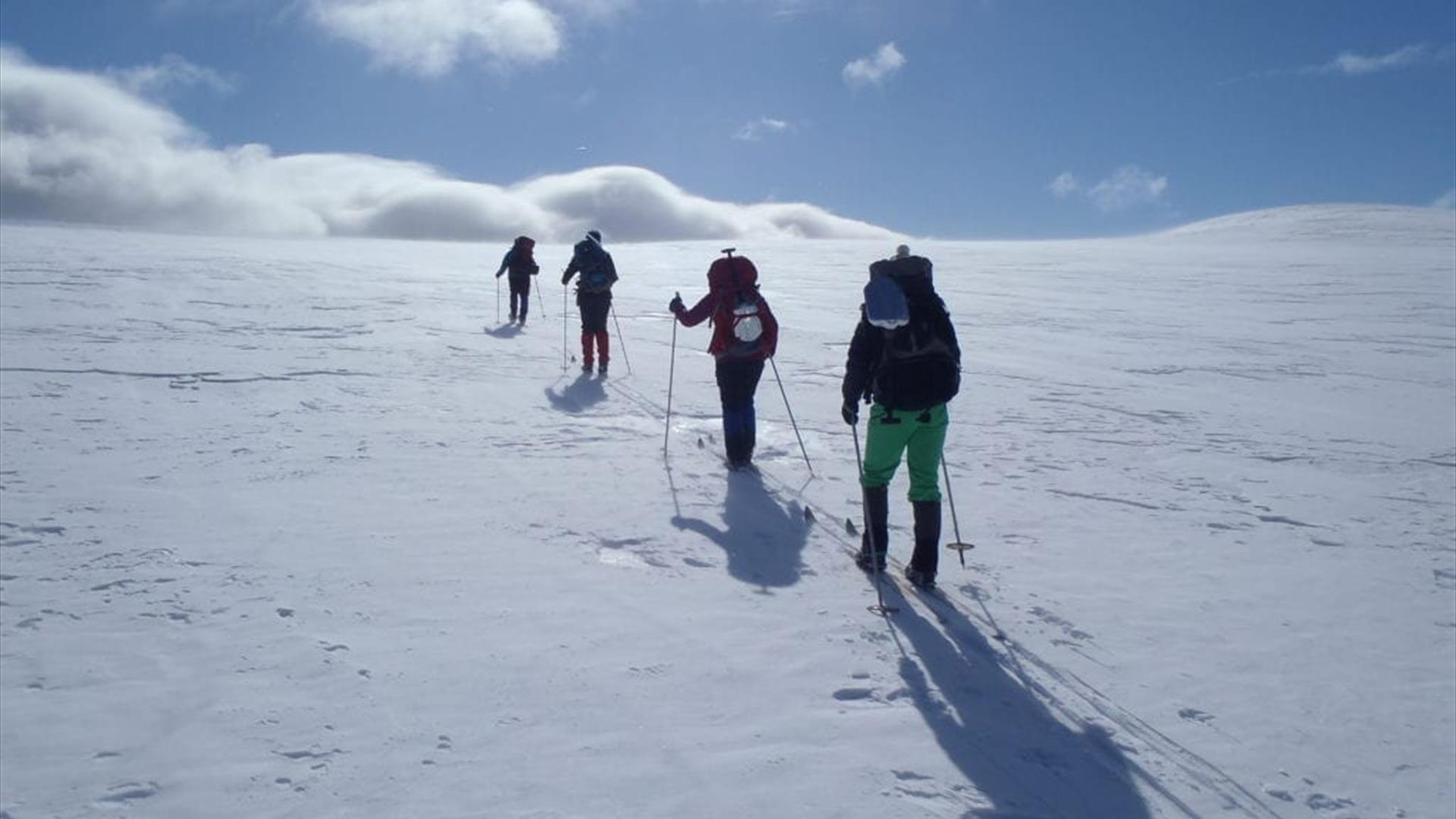 Skitur mot mot fjellplatå i Østerdalen.